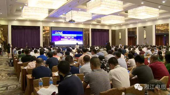 熱烈祝賀湘江電纜榮獲2016年中國電線電纜行業(yè)最具競(jìng)爭(zhēng)力企業(yè)百強(qiáng)